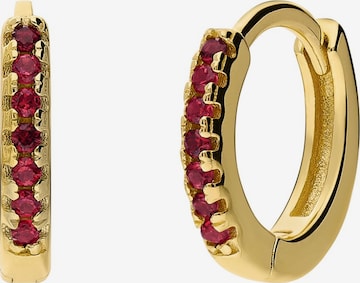 Boucles d'oreilles Lucardi en or : devant