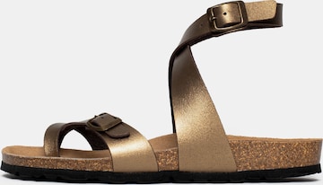 Bayton T-bar sandals 'Swan' in Brown: front