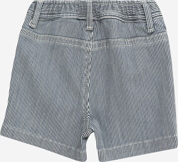 TOMMY HILFIGER Regular Shorts in Blau