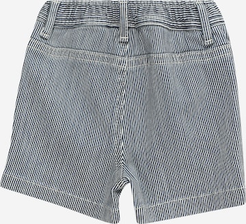 TOMMY HILFIGER Regular Shorts in Blau