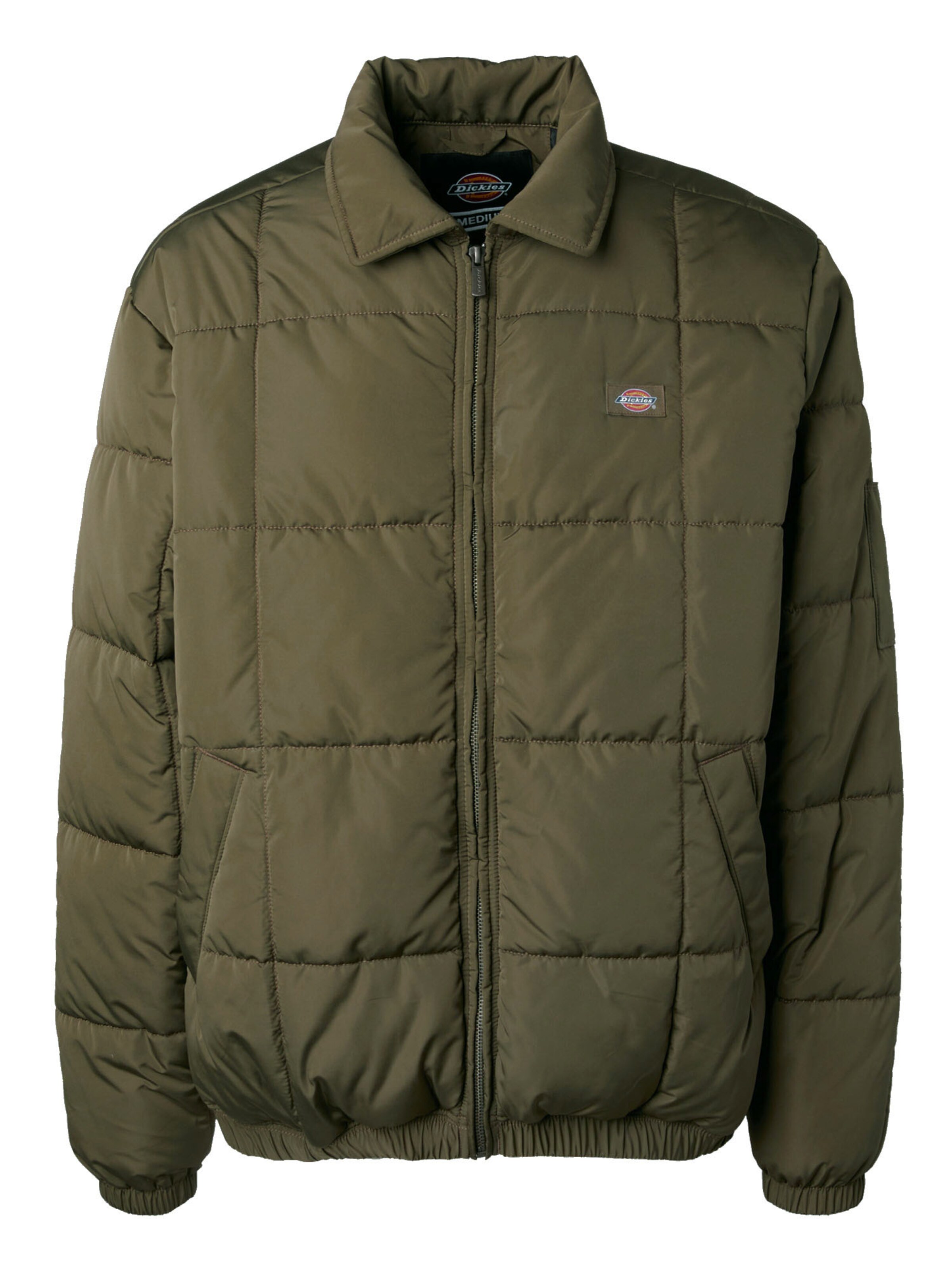 DICKIES Winter Jacket 'Eisenhower' in Green: front