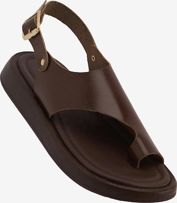 Limoya Sandals 'Damensandalen' in Brown: front