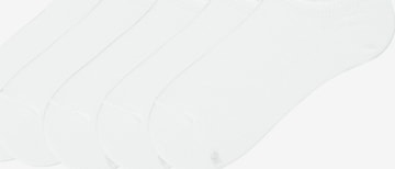 Tezenis Socks in White: front