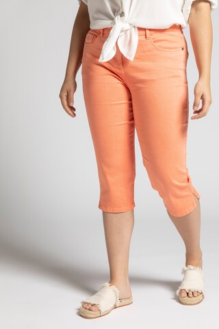 Ulla Popken Jeans in Orange: front