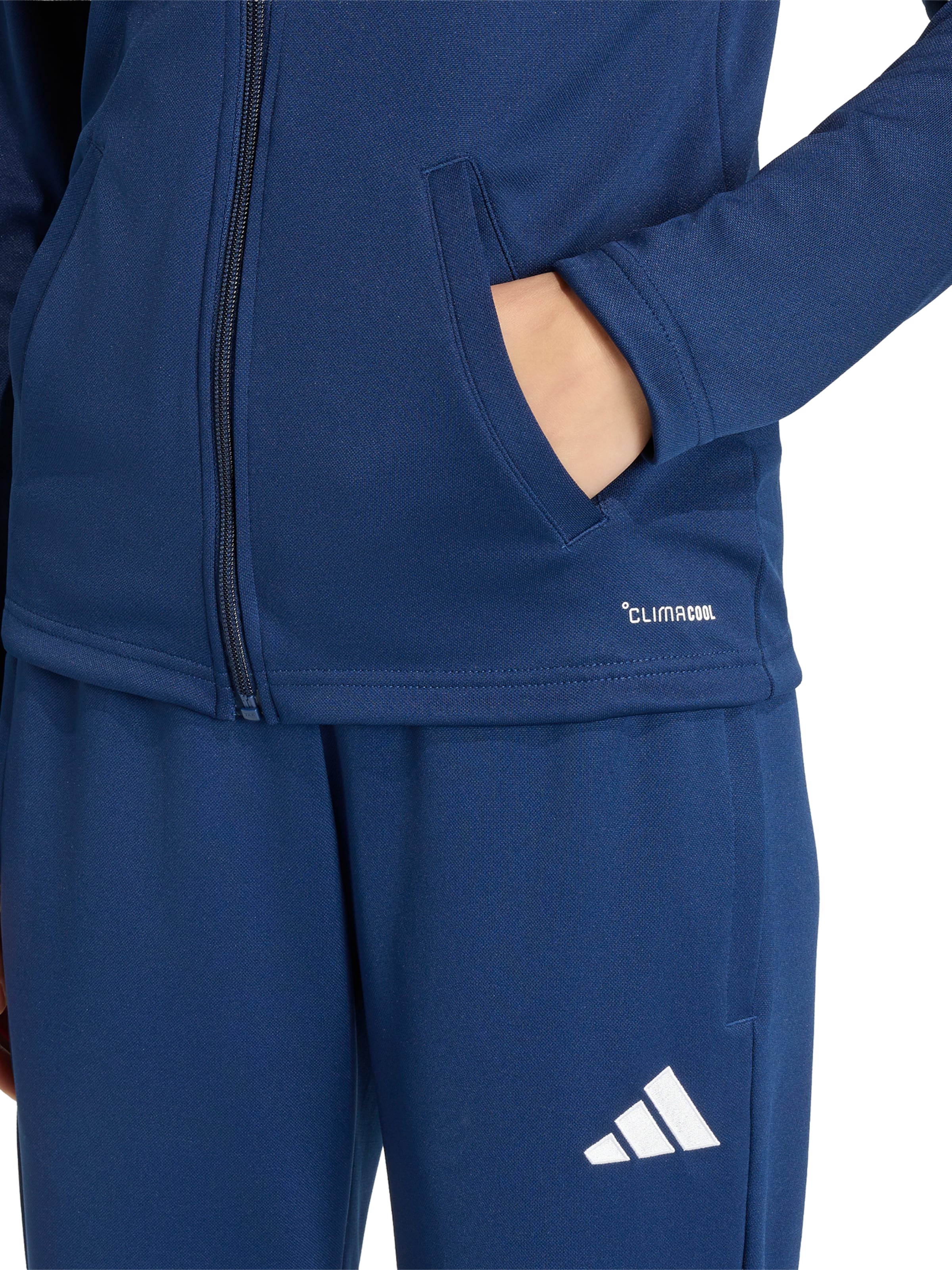 ADIDAS PERFORMANCE Sports jacket 'ENT26' in Blue