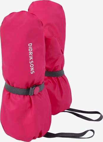 Didriksons Handschuhe 'Pileglove' in Pink: predná strana