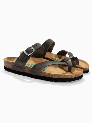 Bayton Varbavaheplätu 'DIANE', värv hall