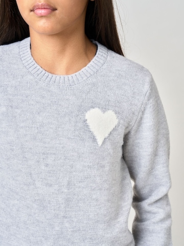 Pull-over Deeluxe en gris