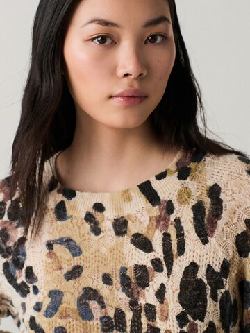 Next Sweater in Mixed colors