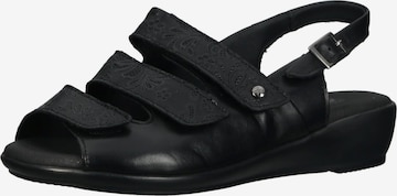 Arcopedico Sandalen met riem in Zwart: voorkant