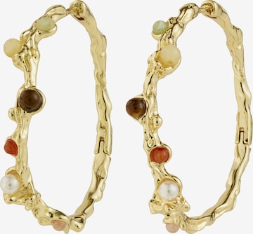 PilgrimNaušnice 'Iris' - zlatna boja: prednji dio