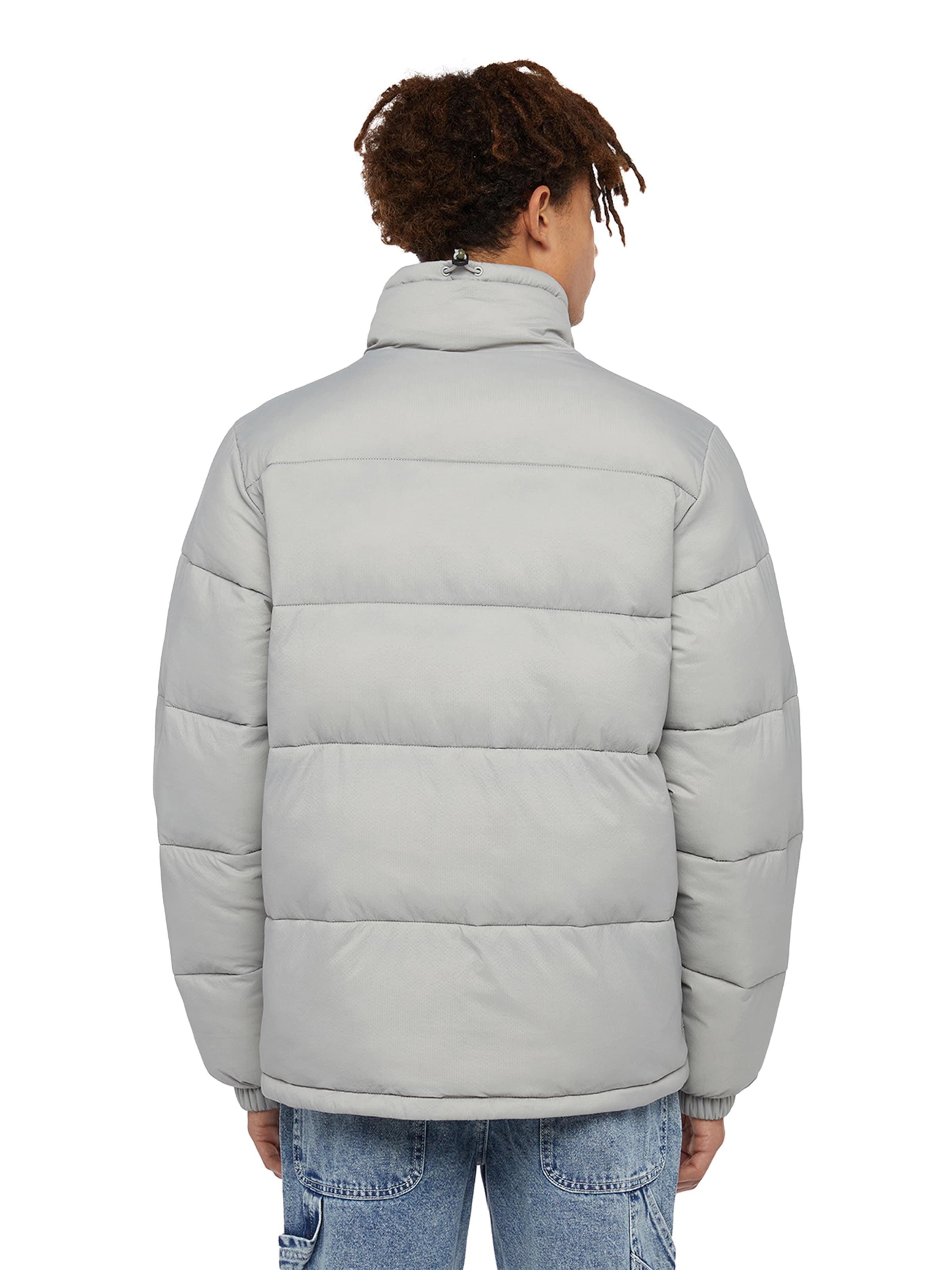 Giacca invernale 'Waldenburg' di DICKIES in grigio