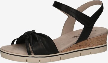 CAPRICE Sandals in Black: front