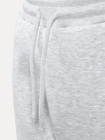 Effilé Pantalon Smilodox en gris