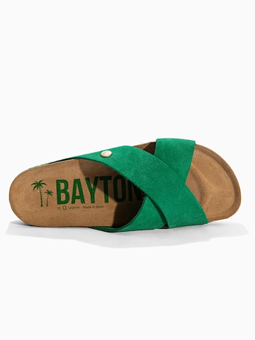 Zoccoletto di Bayton in verde