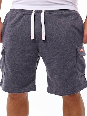 Reslad Regular Pants 'RS5097' in Grey: front