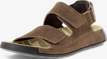 ECCO Sandals in Brown: front