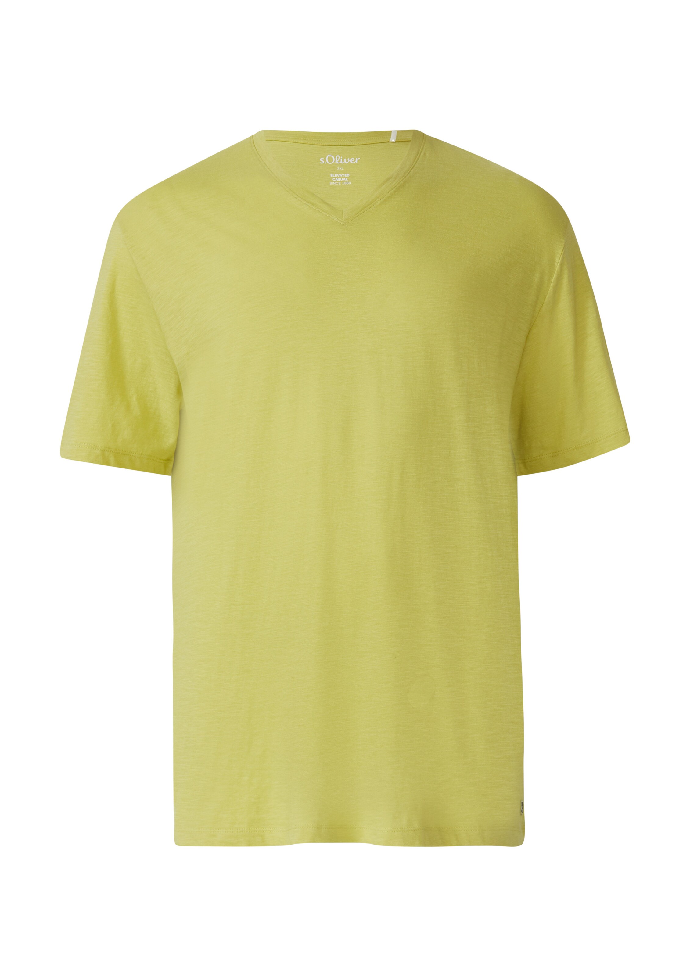 s.Oliver Men Big Sizes T-Shirt in Grün: Vorderseite
