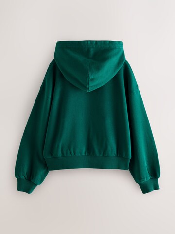 Superdry & Co Sweatshirt in Grün