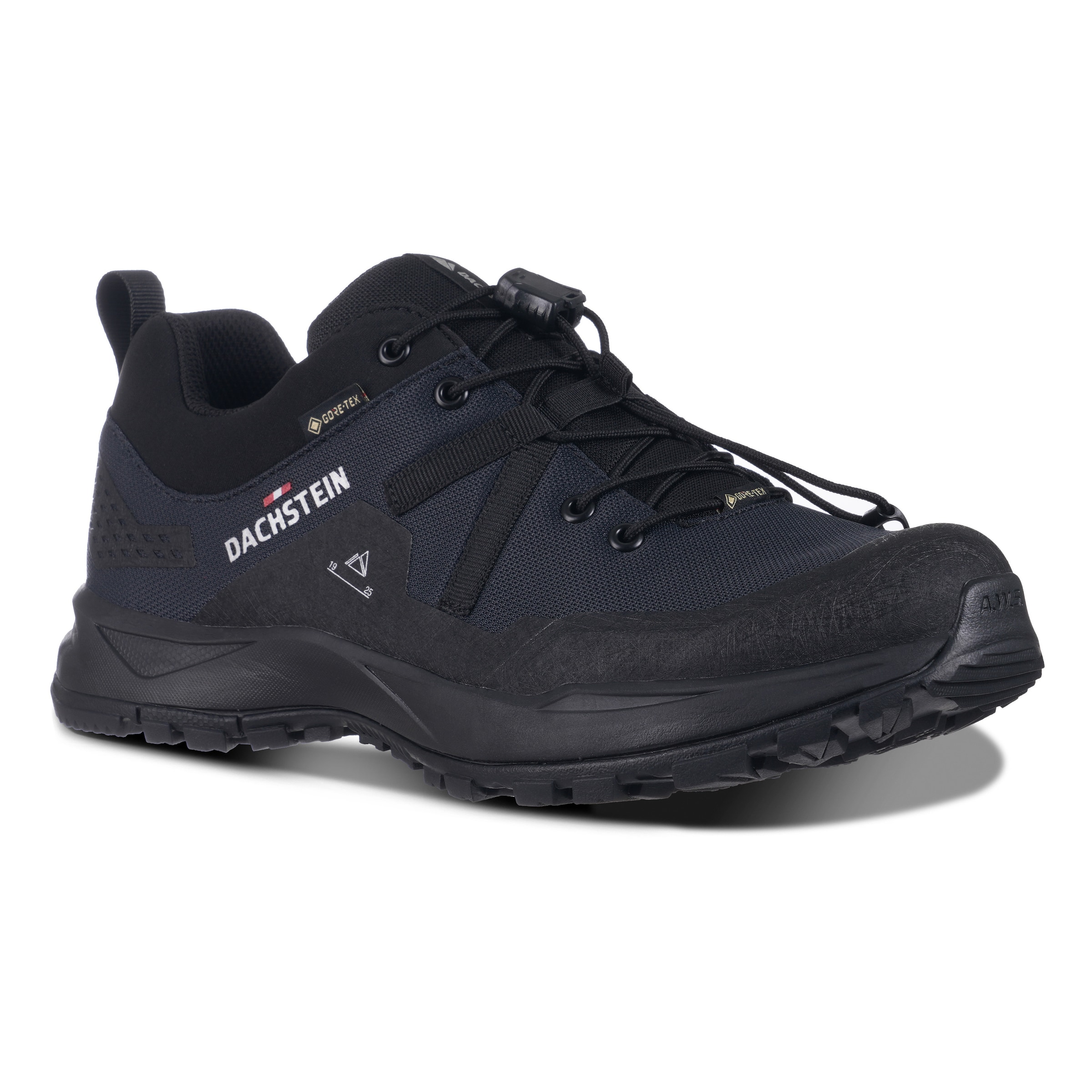 Dachstein Flats 'Delta Peak GTX' in Black