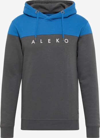 ALEKO Sweatshirt in Blauw: voorkant