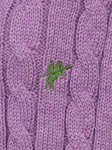 DENIM CULTURE Sweater 'Ludano2' in Purple
