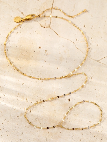 Hey Happiness - Joyería para pies 'Flattened Rolo Toe Chain' en oro