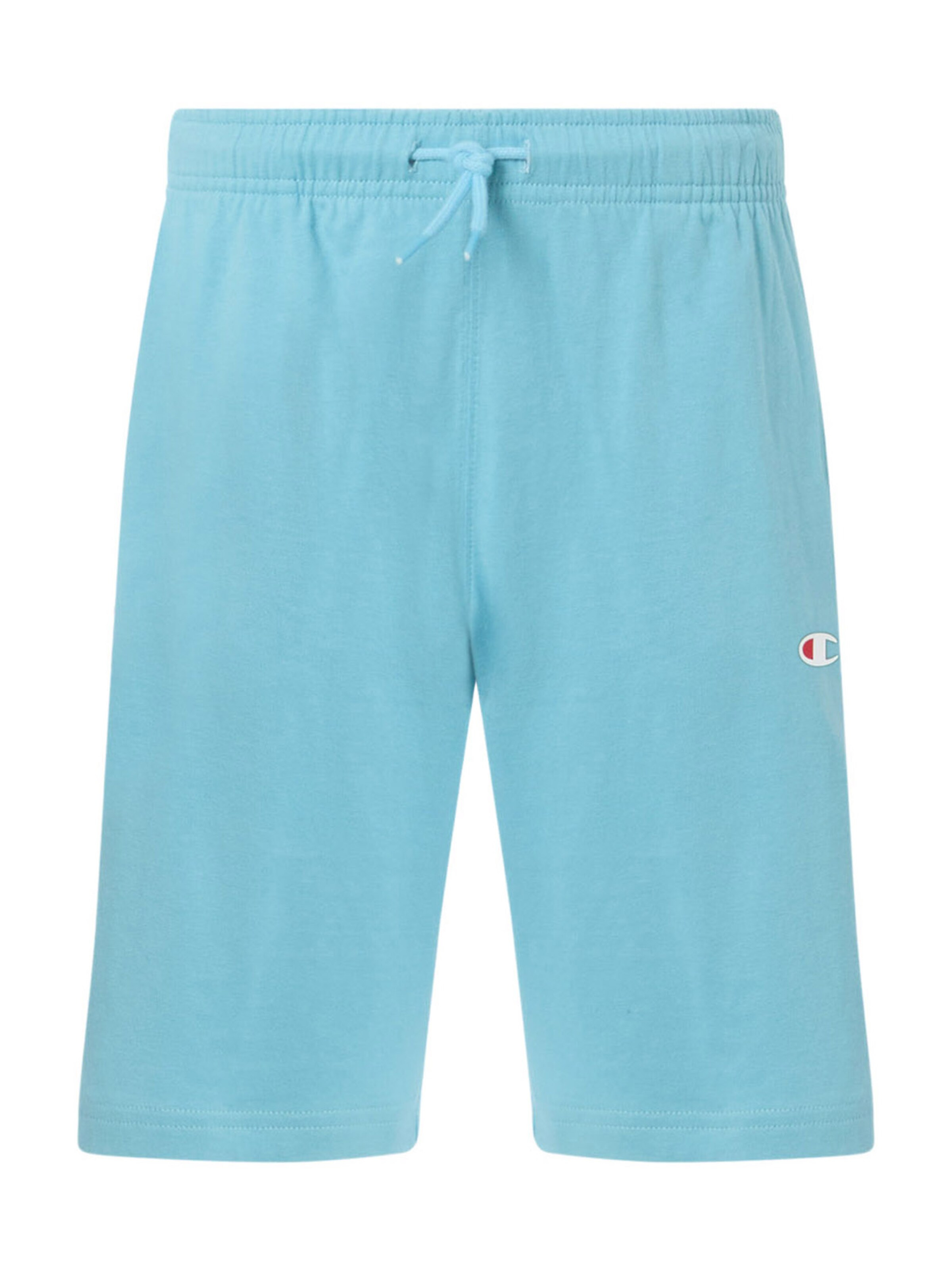 Champion Authentic Athletic Apparel Pants in Blue: front