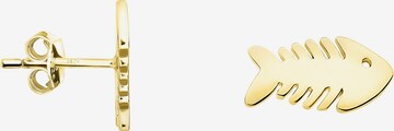 Sofia Milani Ohrringe 'Fish' in Gold: Vorderseite