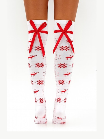 Lycille Over the Knee Socks in White