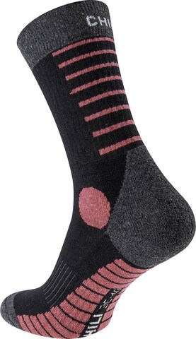Chaussettes ' Hike ' Chili Lifestyle en rose
