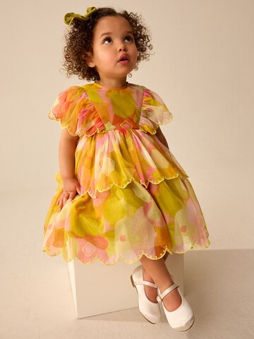 Next Kleid in Mischfarben