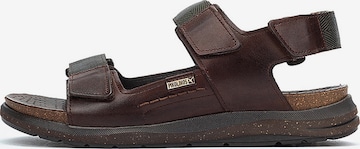 PIKOLINOS Sandaalit 'Nijar' värissä ruskea: etupuoli