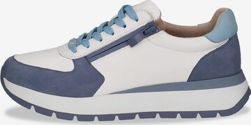 CAPRICE Sneaker low in Blau