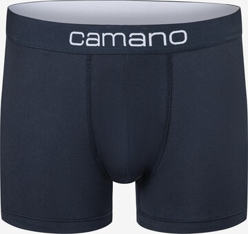 camano Boxer shorts in Blue: front