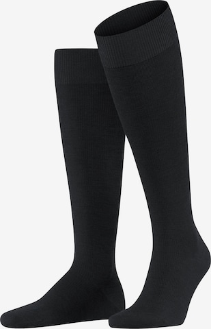 FALKE Kniestrümpfe 'Energizing Wool' in Schwarz: Vorderseite