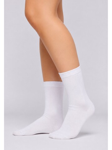 Calza velata di Betty Barclay in bianco: frontale