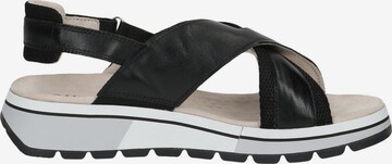 CAPRICE Sandals in Black