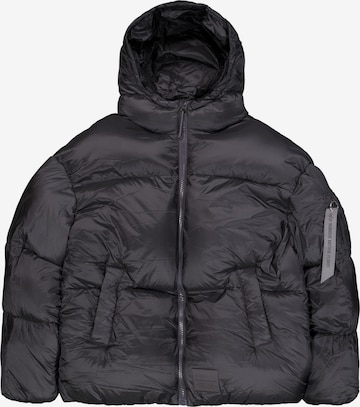 ALPHA INDUSTRIES Talvitakki värissä harmaa: etupuoli