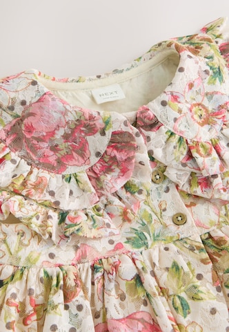 Next Kleid in Mischfarben