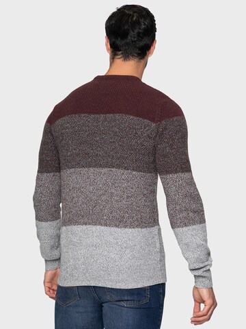 Threadbare Sweater 'Aeron' in Red