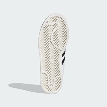 Baskets basses 'Superstar II' ADIDAS ORIGINALS en blanc