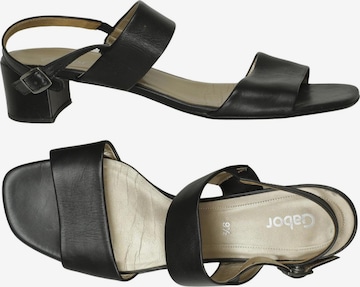 GABOR Sandals & High-Heeled Sandals in 43,5 in Black: front