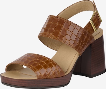 BULLBOXER Strap Sandals in Brown: front