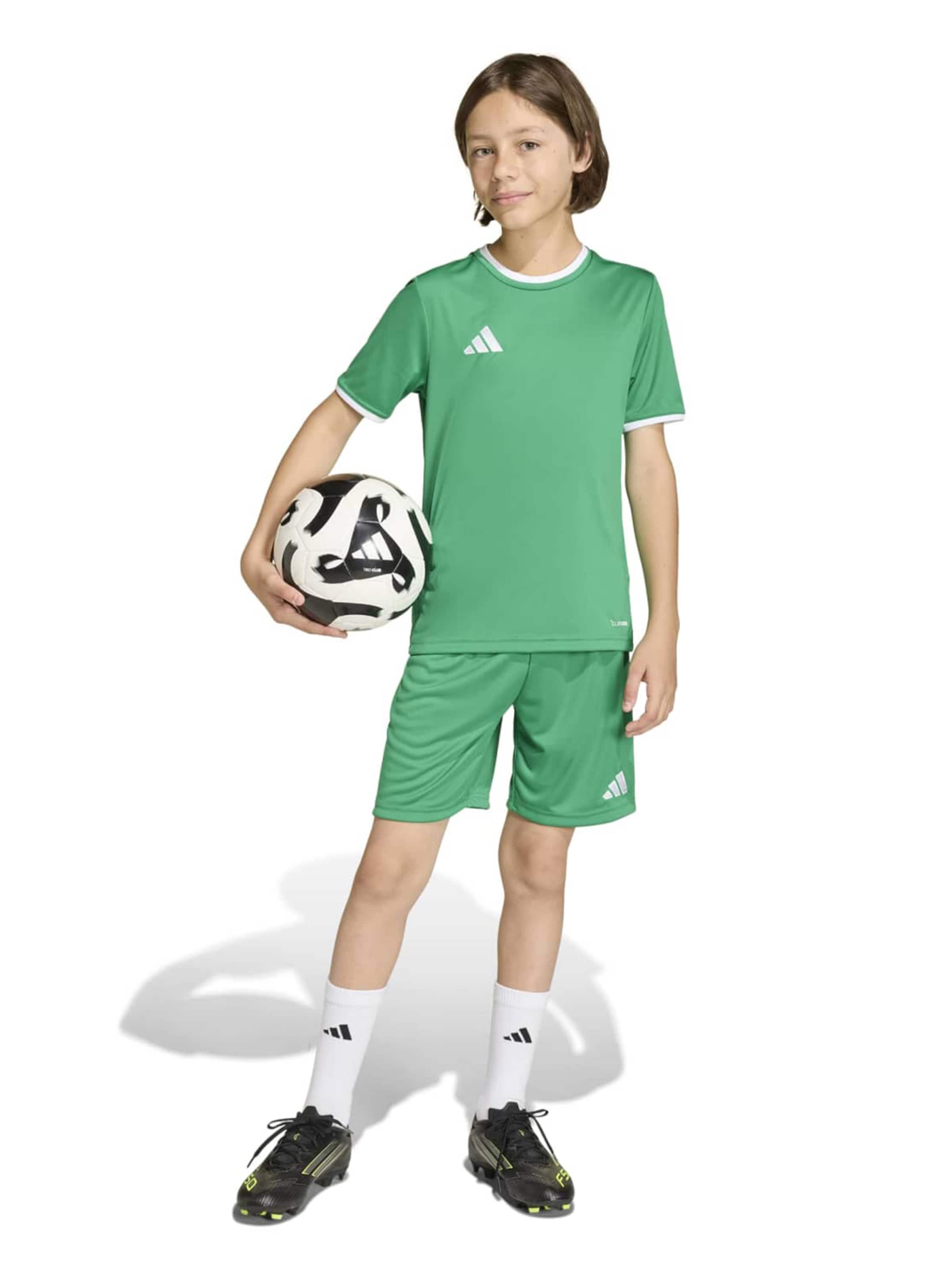 Regular Pantalon de sport 'ENT26' ADIDAS PERFORMANCE en vert