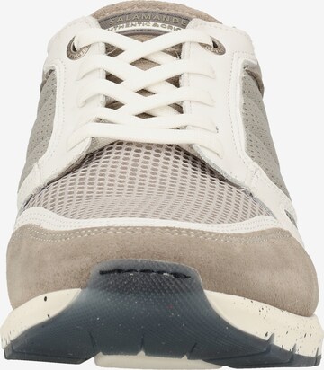 SALAMANDER Sneaker in Beige