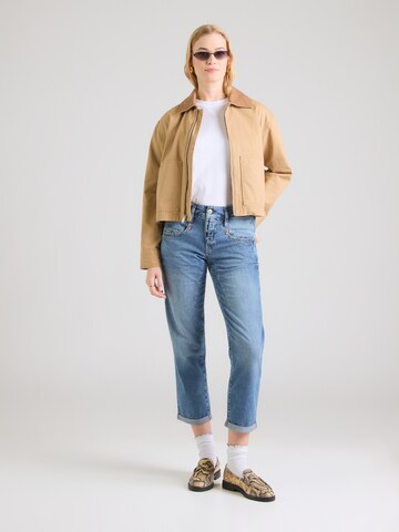 Herrlicher Szabványos Farmer 'Shyra' - kék