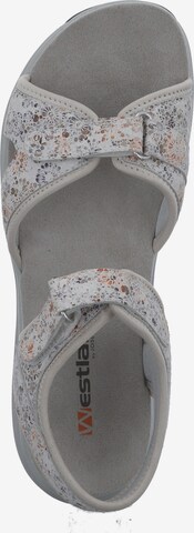 Westland Hiking Sandals 'Olivia 07' in Grey