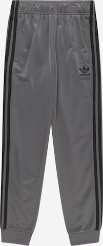 Pantalon 'Adicolor Sst' ADIDAS ORIGINALS en gris : devant