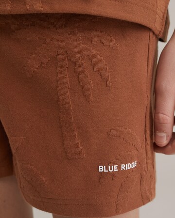 Regular Pantalon WE Fashion en marron